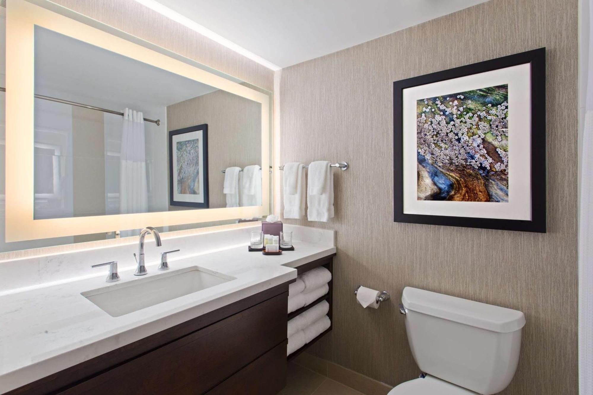 Embassy Suites By Hilton Orlando International Drive Convention Center Williamsburg Εξωτερικό φωτογραφία