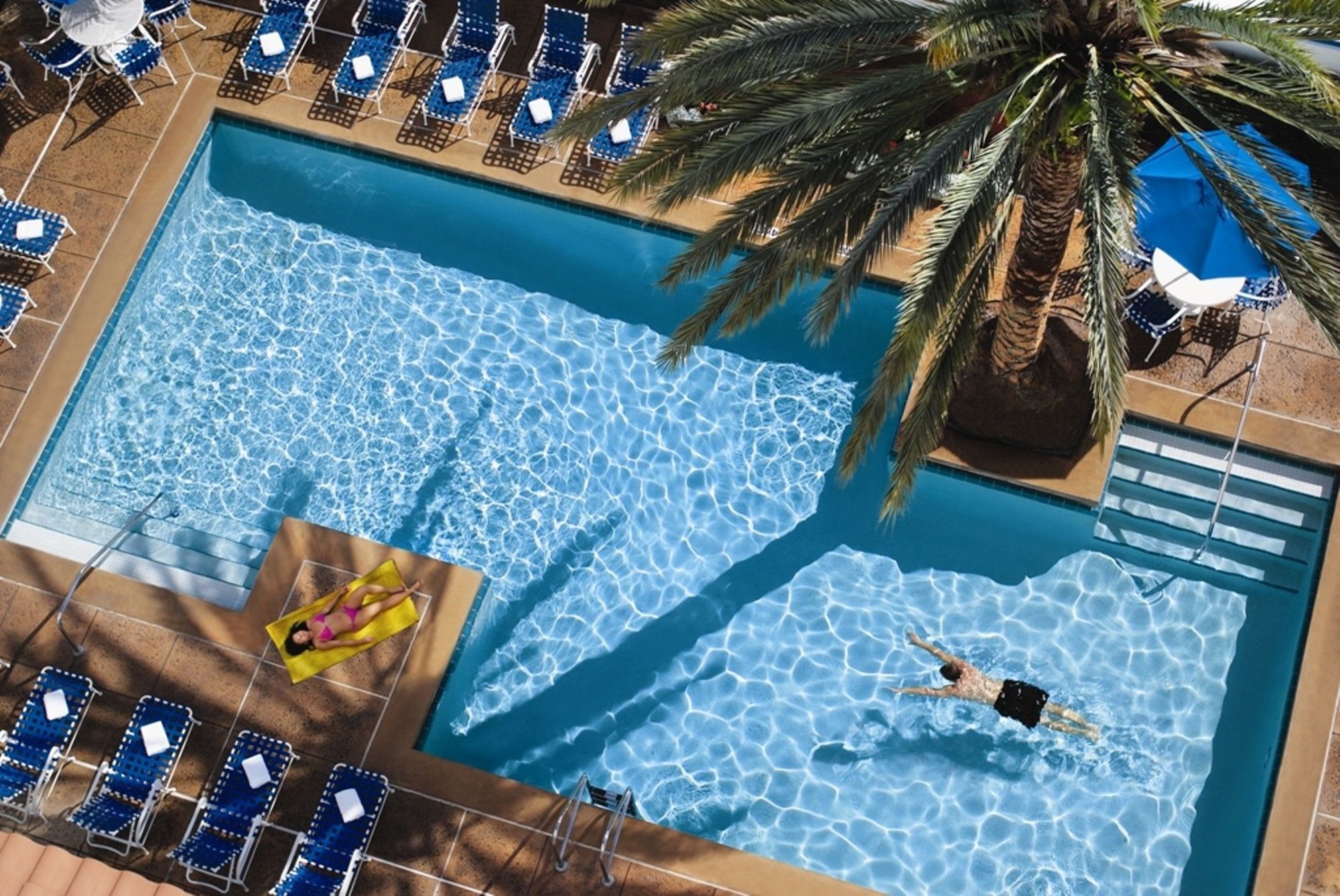 Embassy Suites By Hilton Orlando International Drive Convention Center Williamsburg Εξωτερικό φωτογραφία